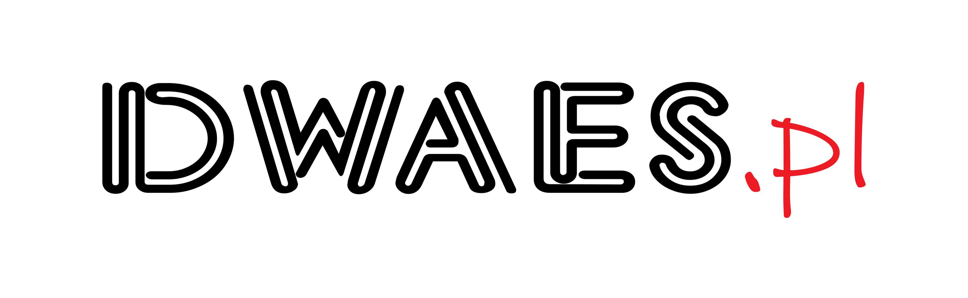 DWAES - haft komputerowy